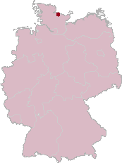 Stein